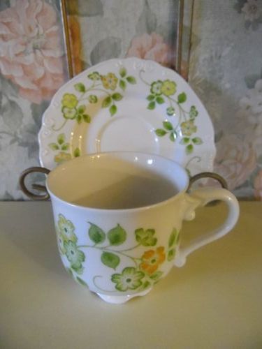 Nikko Ironstone Spring pattern Cup and saucer