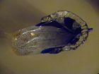 Hand blown Venetian Murano art glass slipper