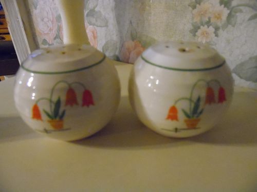 Vintage Posy shop salt and pepper shakers Triumph China ridges