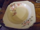 Wells China Homer Laughlin pattern C-84 Century rimmed soup bowl