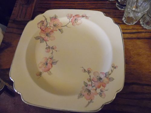 Wells China Homer Laughlin pattern C-84 Century shape dinner plate