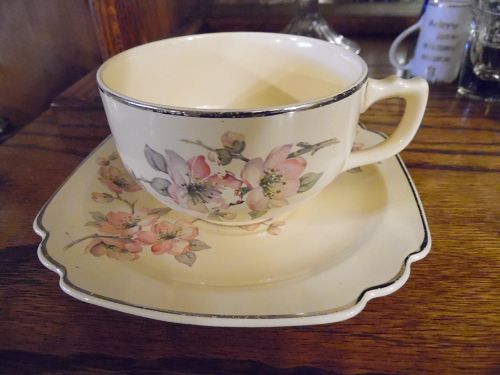 Wells China Homer Laughlin pattern C-84 Century shape cup n saucer