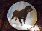 Danbury Mint collector Plate Rottweilers by John Silver Winter Walk