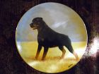 Danbury Mint collector plate Rottweilers  series Noble Companion