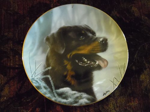 Danbury Mint Collector plate Rottweillers series Frosty Morning