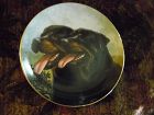 Danbury Mint collector plate Dynamic Duo from Rottweillers series