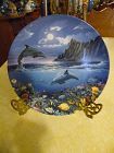 Moonlight Discovery dolphin collector plate  by Anthony Casay