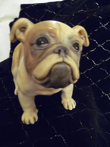 Old English or french Bulldog  Boxer figurine lifelike 6.5" tall