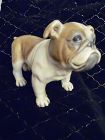 Old English or french Bulldog  Boxer figurine lifelike 6.5" tall