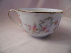 Vintage  Richelieu Hutschenreuther Porcelain China cup
