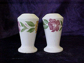 Hand painted pottery salt & pepper shakers