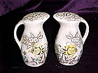 Rosevine salt & pepper shakers