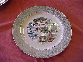 Scenic Arkansas state souvenir plate