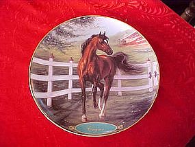 Danbury Mint Cigar, collectors horse plate