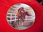 Danbury Mint Cigar, collectors horse plate