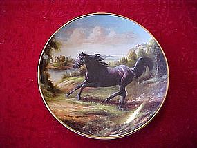 Royal Doulton Free as the Wind, collector horse plate