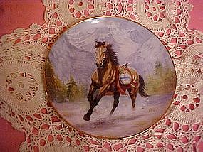 Thunderfoot, A Pawnee War Pony by Perillo