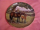 English Thoroughbred, Spode, By Susie Whitcomb
