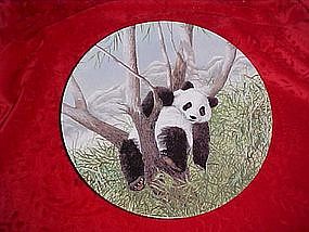 A Lazy Afternoon, The secret world of the Panda, plate