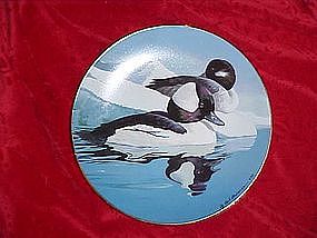 Buffleheads,Natures Heritage, American Waterfowl