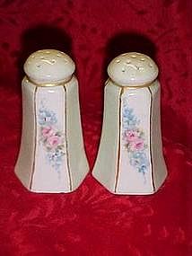 Hand painted victorian style salt and pepper shakers