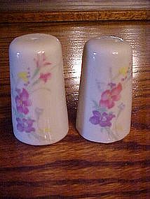 Porcelain shakers with hand painted floral pastel