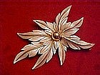 Sarah Coventry white poinsettia pin