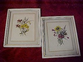 Pair of vintage botanical prints by MB