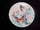 Monarch Butterflies by Lena Liu, "On gossamer Wings"