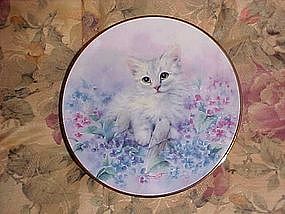 Little Blossom, from The Joy of Kittens, by Kayomi