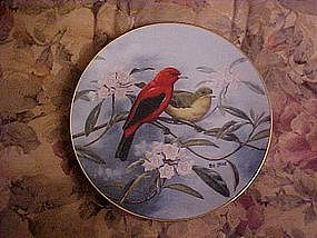 Scarlet Sunrise, Treasury of Songbirds, Rob Stine