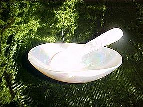 Real mother of pearl shell salt dip, with spoon