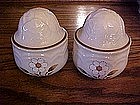 Large stoneware shakers,cabbage, daisy design