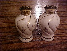 Dainty vintage ceramic salt and pepper shakers