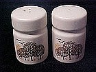 Bare tree, orchard, salt and pepper shakers