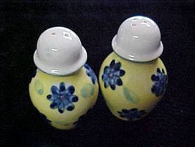 Hand painted porcelain salt & pepper shakers