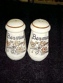 Souvenir salt and pepper shakers from Bermuda