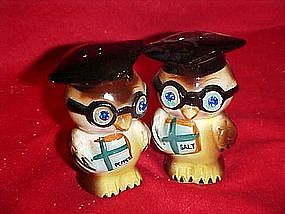 Wise owl salt and pepper shaker set, by Bradley