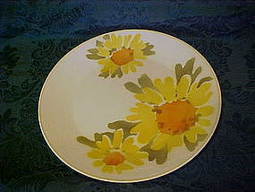 Mikasa's Dolly pattern chop plate