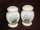Lavender in flower pot, salt and pepper shakers