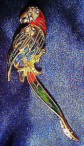 Large enamel and rhinestone parrot pin