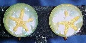 Vintage Lucite real starfish earrings, screw backs