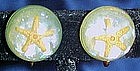 Vintage Lucite real starfish earrings, screw backs