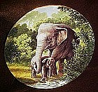 The Asian Elephant collector plate, Endangered Species