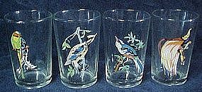 Exotic bird grinking glasses, set of 4