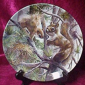 The Squirrel  plate, Friends of the forest series