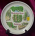 Souvenir plate, Richardson Grove California Redwoods