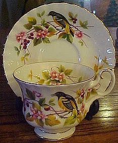 Royal Albert  Baltimore Oriole cup and saucer