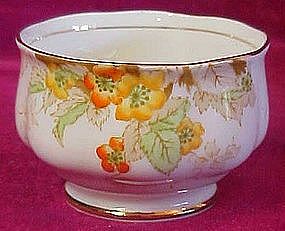 Royal Standard "Blossom"  bone china open sugar