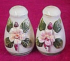 applied porcelain flower salt and pepper shaker set